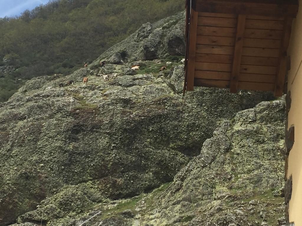 Portilla de la Reina El Invernal De Picos المظهر الخارجي الصورة