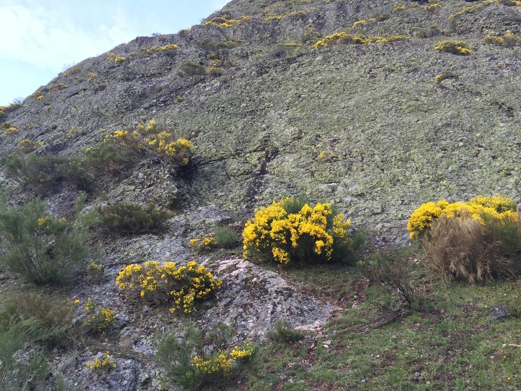 Portilla de la Reina El Invernal De Picos المظهر الخارجي الصورة