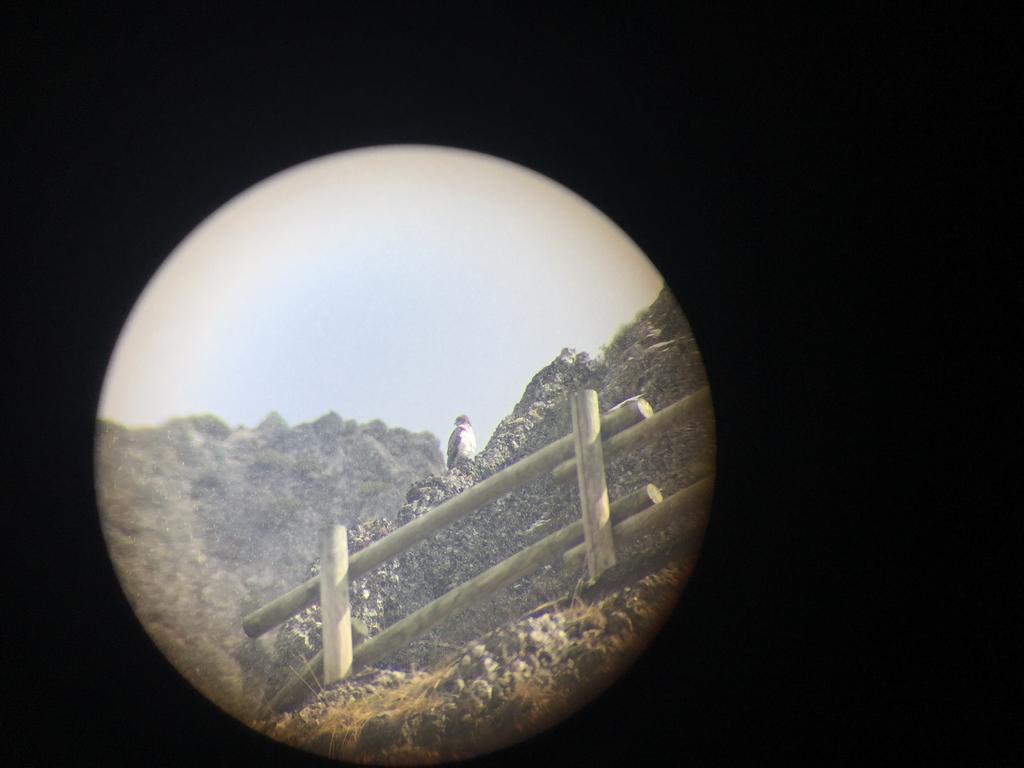 Portilla de la Reina El Invernal De Picos المظهر الخارجي الصورة